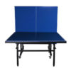 Outdoor Table Tennis