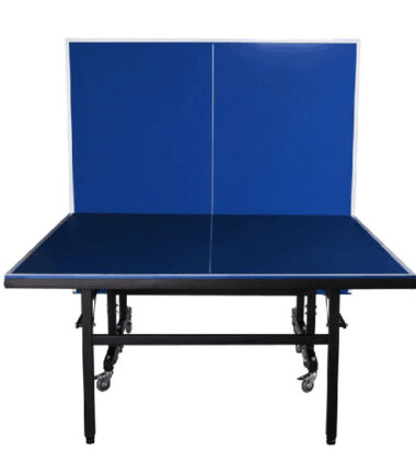 Outdoor Table Tennis