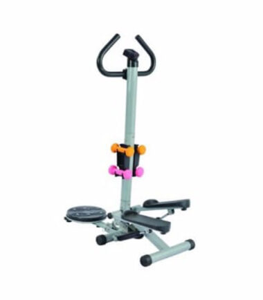Standing Stepper With Twister And Dumbbells