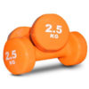 Vinyl Dipped Dumbbells – 2.5kg – 1 Pair