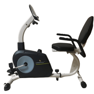 Big Recumbent Bike