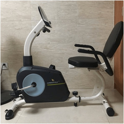 Big Recumbent Bike