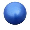 Bodyfit Anti Burst Gym Ball With Pump 55cm - Blue