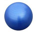 Bodyfit Anti Burst Gym Ball With Pump 85cm Blue 1