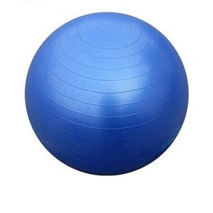 Bodyfit Anti Burst Gym Ball With Pump 55cm - Blue