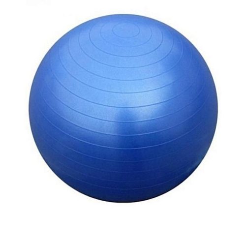 Bodyfit Anti Burst Gym Ball With Pump 55cm - Blue