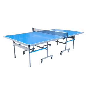 Indoor Table Tennis  