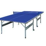 indoor table tennis table