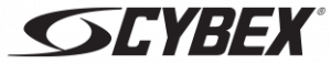 logo cybex data