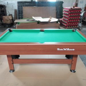 Snooker Table