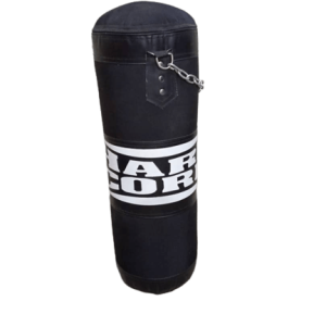Punching bag for boxing  training