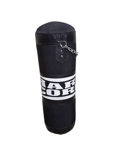 Punching bag for boxing  training
